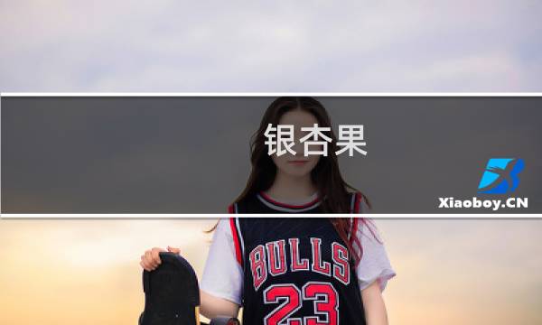 .银杏果