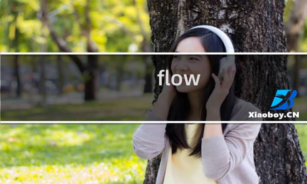 .flow 攻略