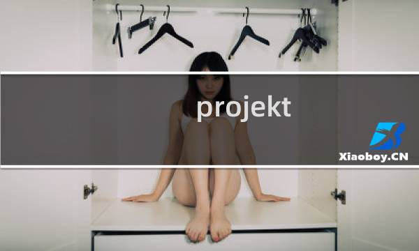 .projekt 攻略