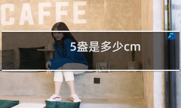 0.5盎是多少cm