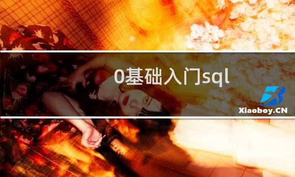 0基础入门sql
