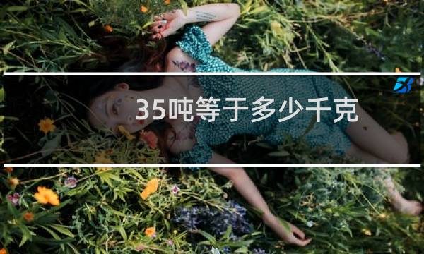 0.35吨等于多少千克