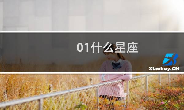 01什么星座