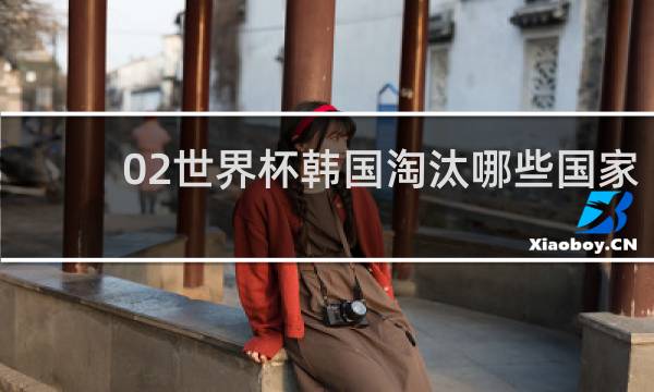 02世界杯韩国淘汰哪些国家