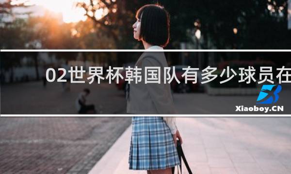 02世界杯韩国队有多少球员在场