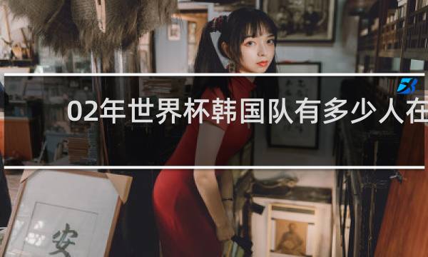 02年世界杯韩国队有多少人在场
