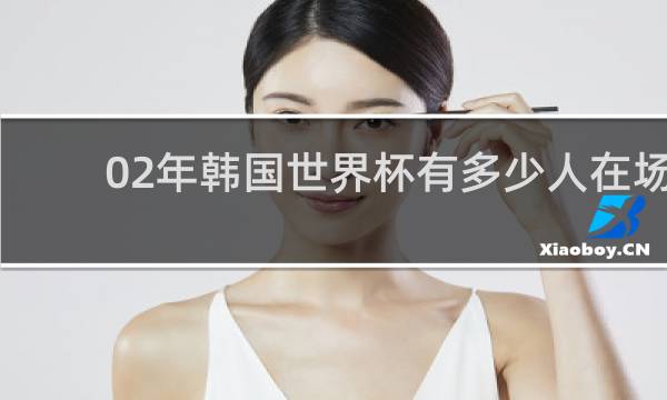 02年韩国世界杯有多少人在场