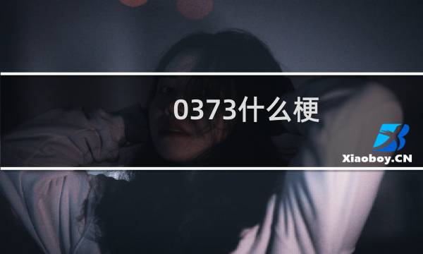 0373什么梗