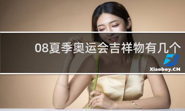 08夏季奥运会吉祥物有几个