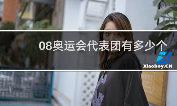 08奥运会代表团有多少个