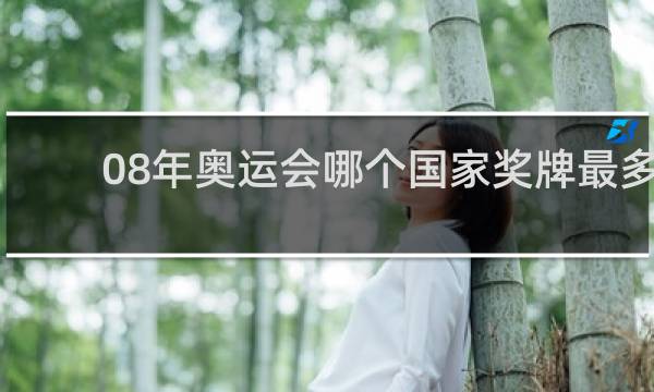 08年奥运会哪个国家奖牌最多