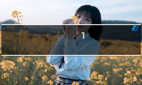 1-12星座表