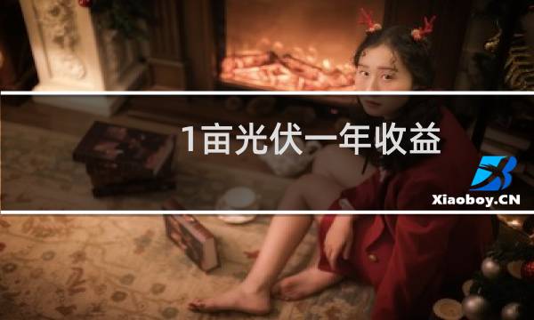 1亩光伏一年收益