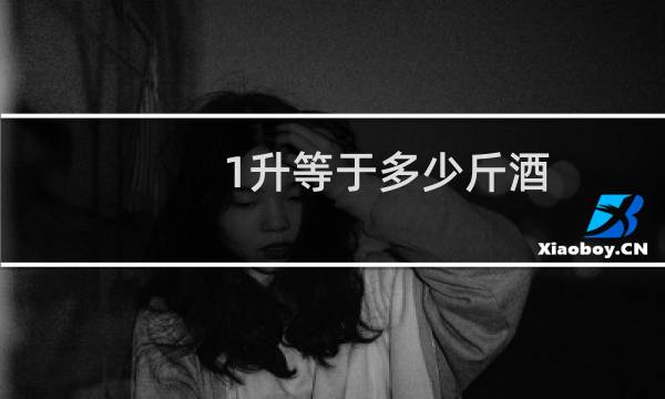 1升等于多少斤酒!D(W)