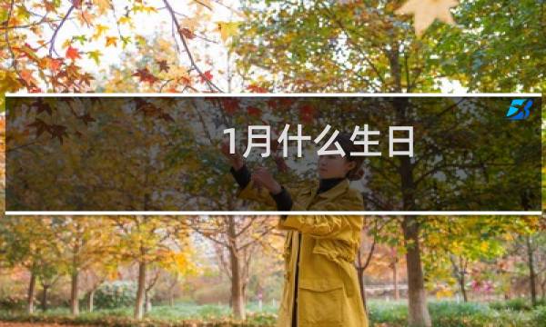 1月什么生日
