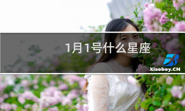 1月1号什么星座