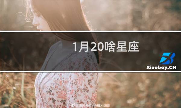 1月20啥星座