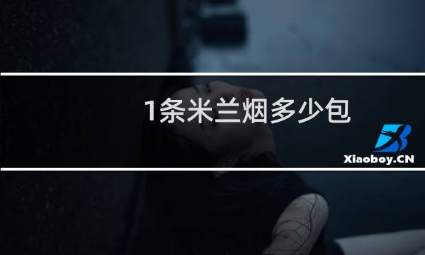 1条米兰烟多少包