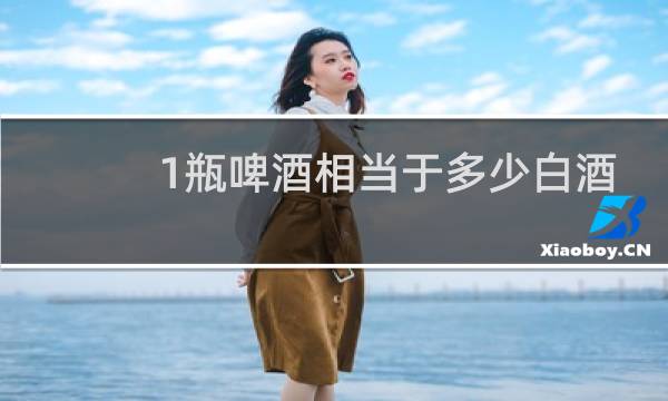 1瓶啤酒相当于多少白酒