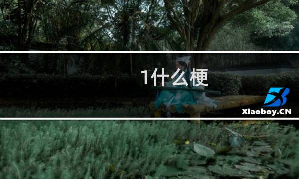 1什么梗