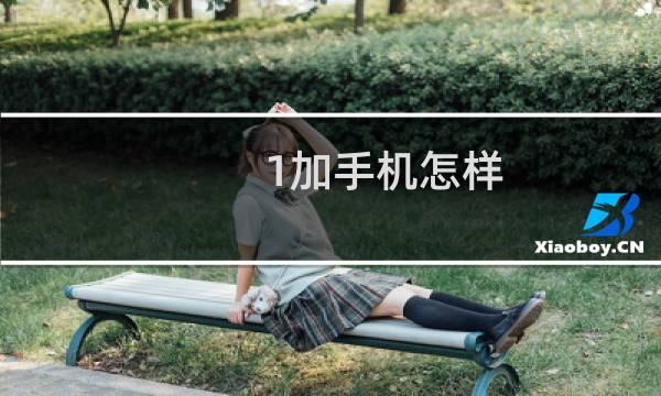 1加手机怎样