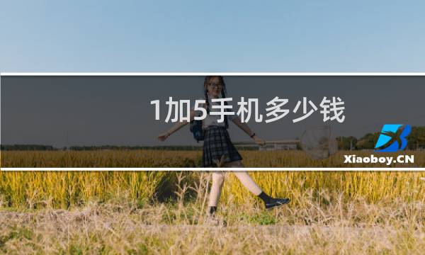 1加5手机多少钱
