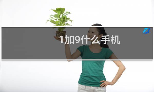 1加9什么手机