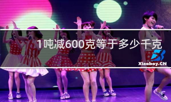 1吨减600克等于多少千克