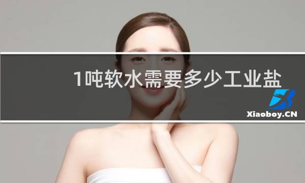 1吨软水需要多少工业盐图片