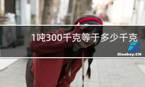 1吨300千克等于多少千克