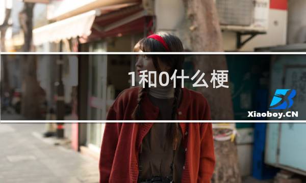1和0什么梗