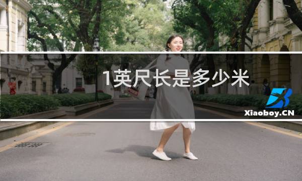 1英尺长是多少米