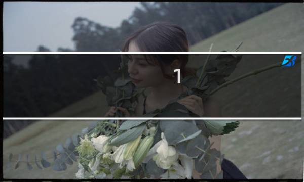 1.2元的邮票