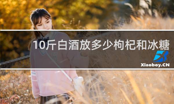 10斤白酒放多少枸杞和冰糖