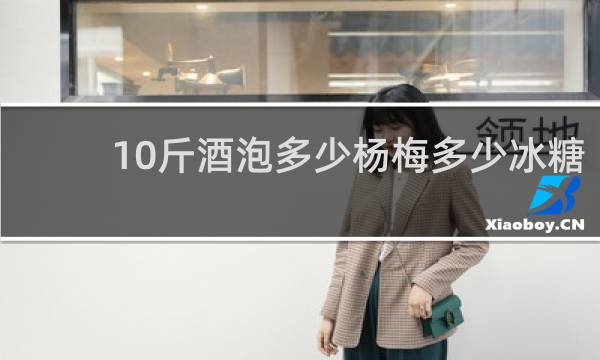 10斤酒泡多少杨梅多少冰糖