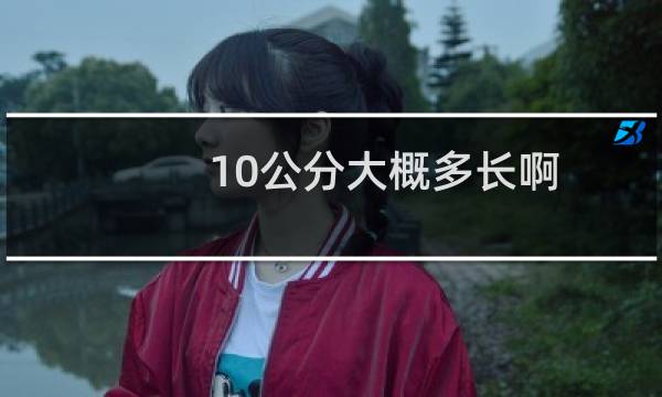 10公分大概多长啊