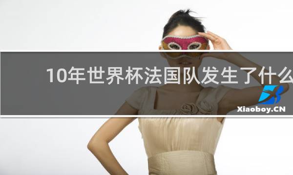 10年世界杯法国队发生了什么