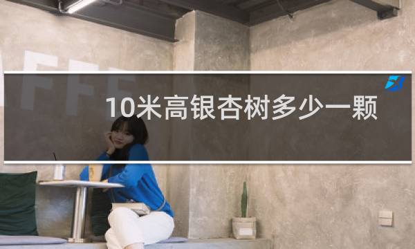 10米高银杏树多少一颗