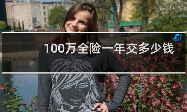 100万全险一年交多少钱