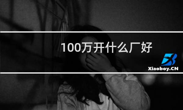 100万开什么厂好