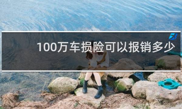 100万车损险可以报销多少