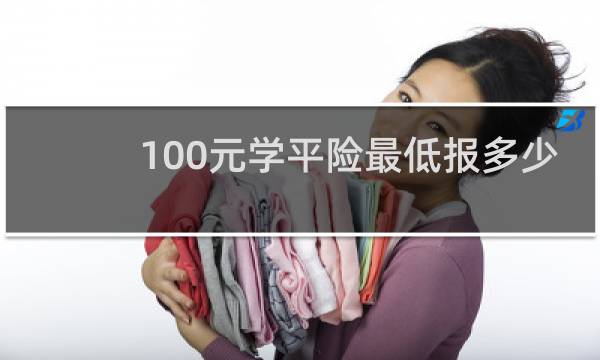 100元学平险最低报多少