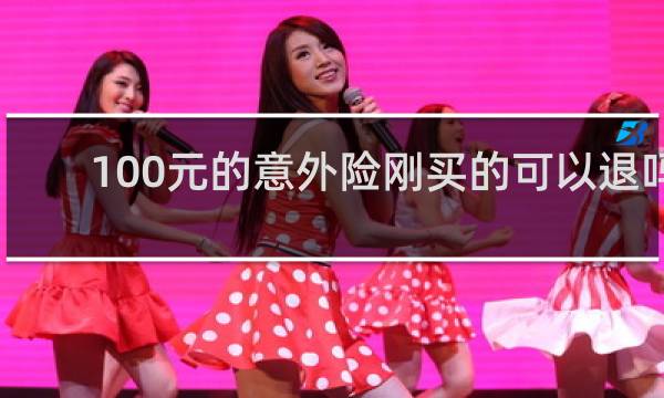 100元的意外险刚买的可以退吗