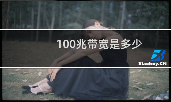 100兆带宽是多少