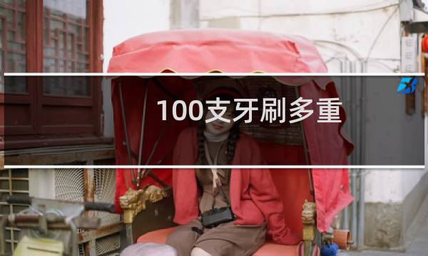 100支牙刷多重