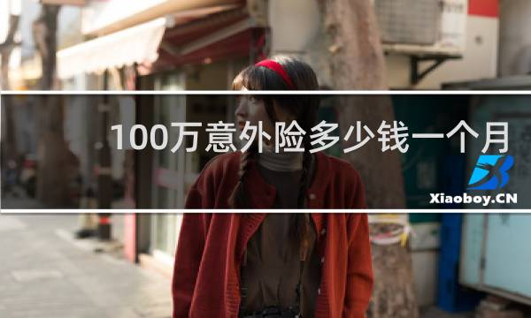 100万意外险多少钱一个月图片