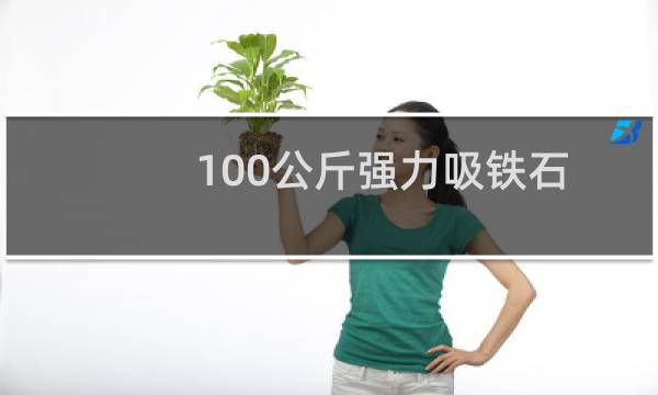 100公斤强力吸铁石