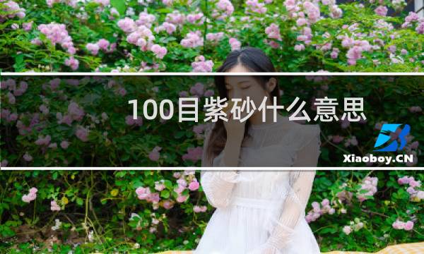 100目紫砂什么意思