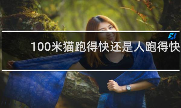 100米猫跑得快还是人跑得快