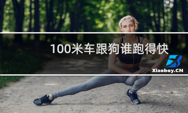 100米车跟狗谁跑得快
